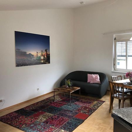 2-Zimmerwohnung Mit Dachterrasse In Seenahe Брегенц Экстерьер фото